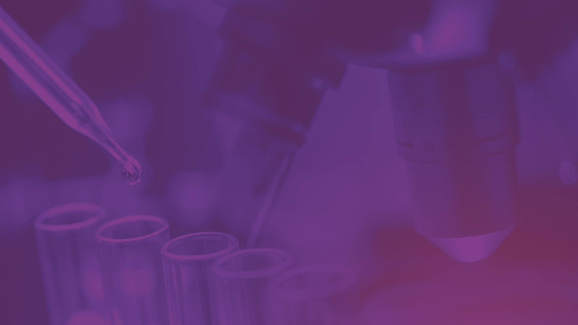 Specifie an alternate text for an image