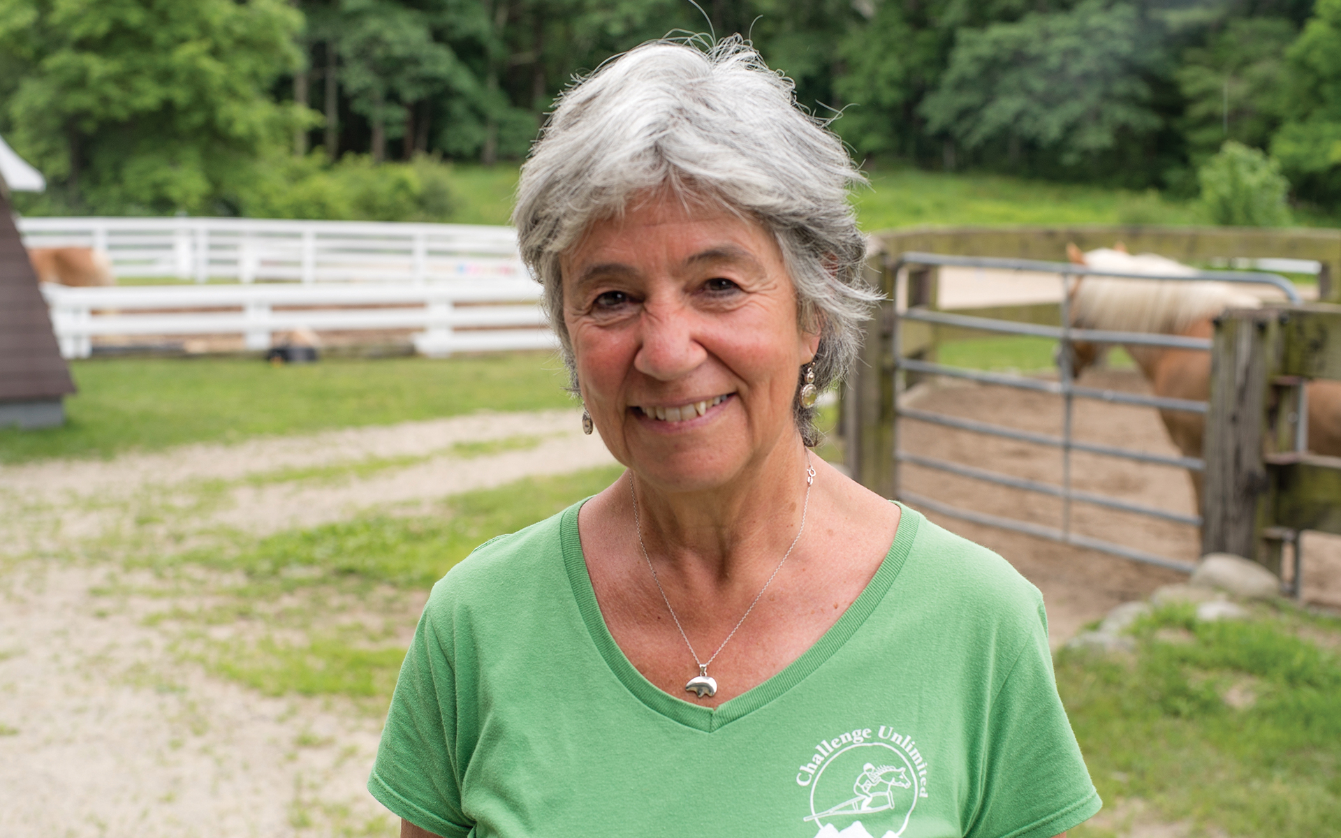 Specifie an alternate text for an image