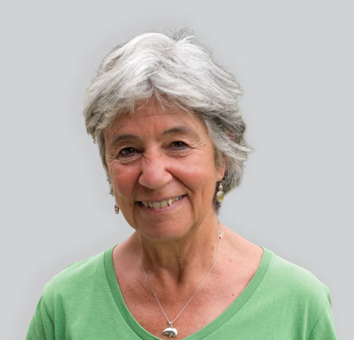 Specifie an alternate text for an image