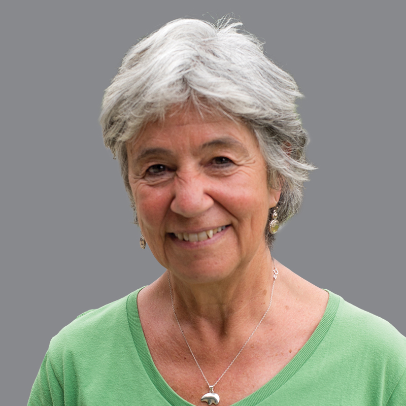 Specifie an alternate text for an image